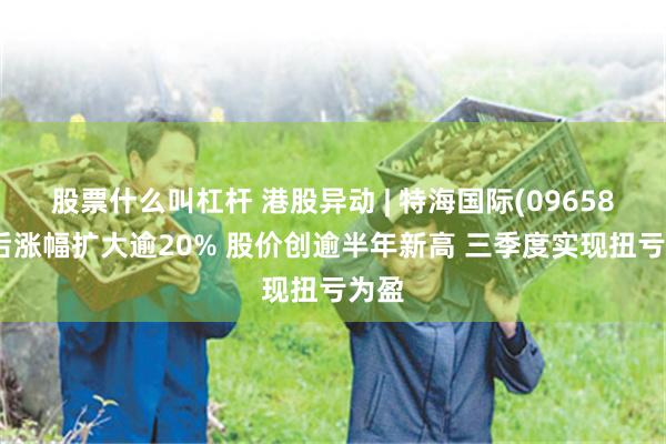 股票什么叫杠杆 港股异动 | 特海国际(09658)午后涨幅扩大逾20% 股价创逾半年新高 三季度实现扭亏为盈