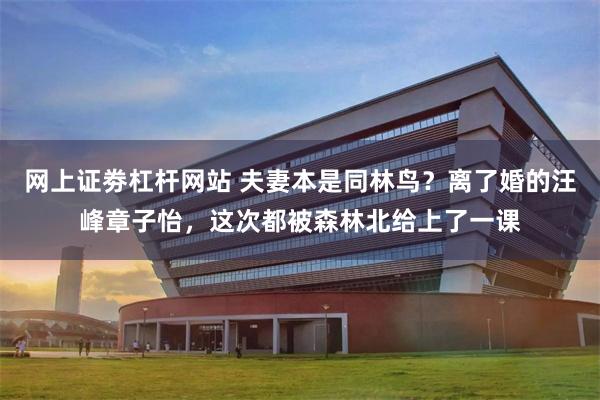 网上证劵杠杆网站 夫妻本是同林鸟?离了婚的汪峰章子怡,这次都被森林北给上了一课