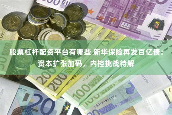 股票杠杆配资平台有哪些 新华保险再发百亿债：资本扩张加码，内控挑战待解