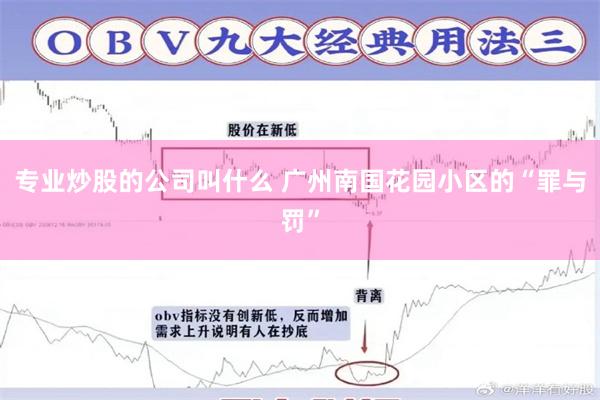 专业炒股的公司叫什么 广州南国花园小区的“罪与罚”