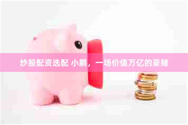 炒股配资选配 小鹏，一场价值万亿的豪赌