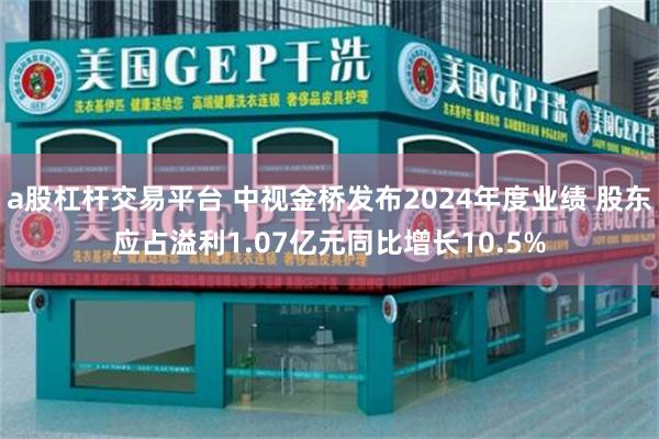 a股杠杆交易平台 中视金桥发布2024年度业绩 股东应占溢利1.07亿元同比增长10.5%
