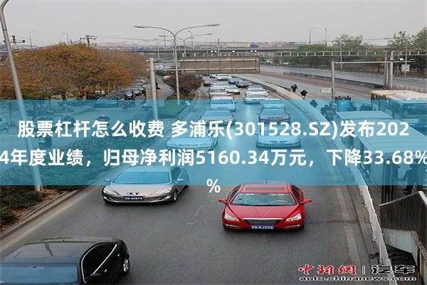 股票杠杆怎么收费 多浦乐(301528.SZ)发布2024年度业绩，归母净利润5160.34万元，下降33.68%