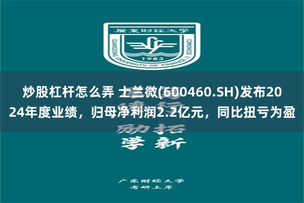 炒股杠杆怎么弄 士兰微(600460.SH)发布2024年度业绩，归母净利润2.2亿元，同比扭亏为盈