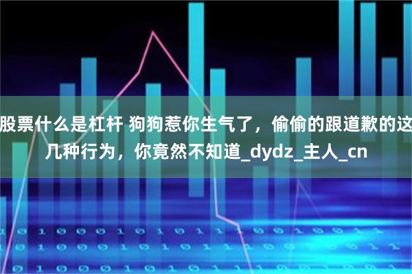 股票什么是杠杆 狗狗惹你生气了，偷偷的跟道歉的这几种行为，你竟然不知道_dydz_主人_cn