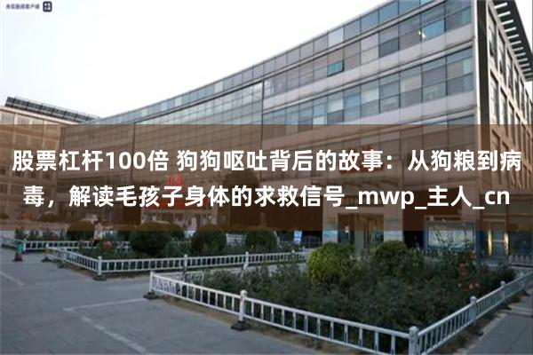 股票杠杆100倍 狗狗呕吐背后的故事：从狗粮到病毒，解读毛孩子身体的求救信号_mwp_主人_cn