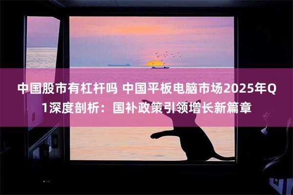 中国股市有杠杆吗 中国平板电脑市场2025年Q1深度剖析：国补政策引领增长新篇章
