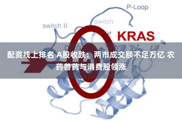 配资线上排名 A股收跌：两市成交额不足万亿 农药兽药与消费股领涨