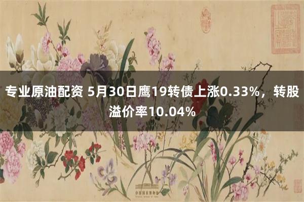 专业原油配资 5月30日鹰19转债上涨0.33%，转股溢价率10.04%