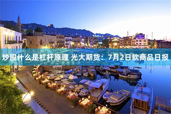 炒股什么是杠杆原理 光大期货：7月2日软商品日报