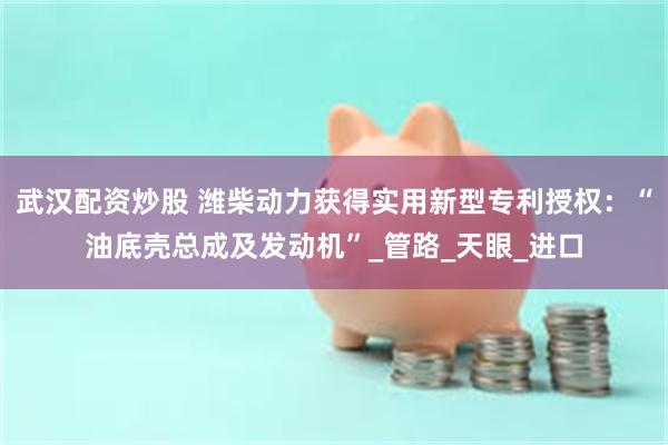 武汉配资炒股 潍柴动力获得实用新型专利授权：“油底壳总成及发动机”_管路_天眼_进口