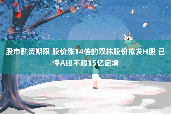 股市融资期限 股价涨14倍的双林股份拟发H股 已停A股不超15亿定增
