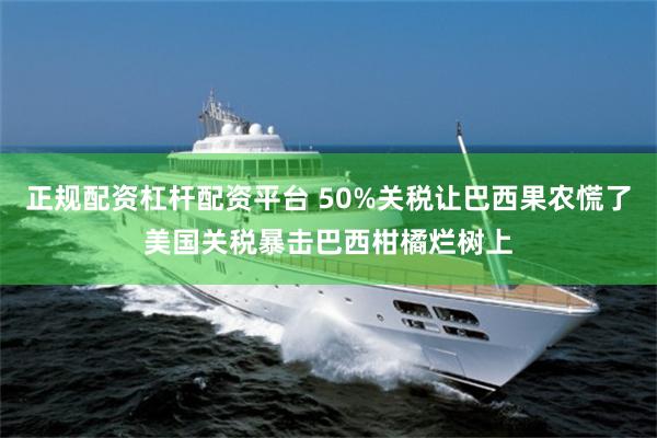 正规配资杠杆配资平台 50%关税让巴西果农慌了美国关税暴击巴西柑橘烂树上