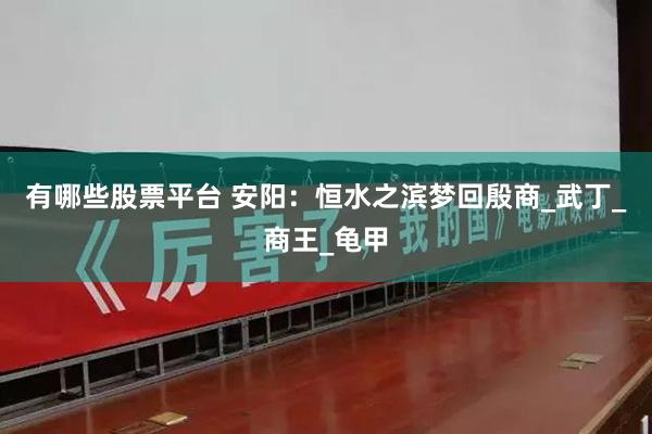 有哪些股票平台 安阳：恒水之滨梦回殷商_武丁_商王_龟甲